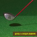 서광스크린골프연습장 이미지