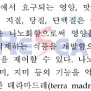 나노식품은 식품을 나노화함으로써 영양흡수 효율을 높일 수 있다. Nutrient absorption efficiency can be improved by nanofoods. @Nanofoods 이미지