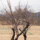 가산공원 그라운드골프장 이미지