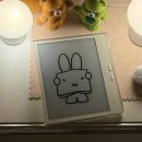 이북리더기 오닉스 고7 흑백 화이트 구매 후기 | 좀비베리어 로얄AR 필름