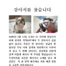용일사거리 이미지