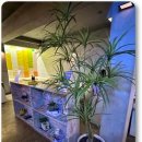 용산-176 이미지