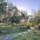 싱싱편의점 | 서울근교 양평 호텔 후기, 블룸비스타 호텔 2편 부대시설(바비큐, 편의점, 키즈 존 등)