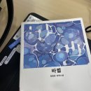 초홍홍표정 발사