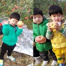 초포농장 이미지