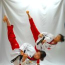 천재태권도장 이미지