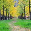 물빛정원펜션 이미지