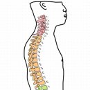 제이뷰짐 이미지