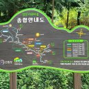 편백숲,쉼 이미지