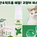 담은제주농업회사법인주식회사 이미지