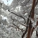 남산약수터 이미지