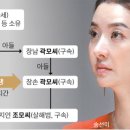 송선미 카카오 검색결과