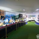 주문진종합시장 이미지