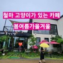 철마초 | 기장 철마 카페 봄여름가을겨울 / 고양이가 있는 곳