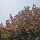 새싹공원(박물관공원 옆) 이미지