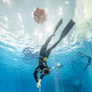 힐링의 바다 이미지