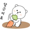 영남학문외과 네이버블로그