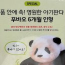 푸바오 인형가격이? 이미지