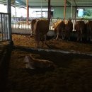 큰빛농장 이미지