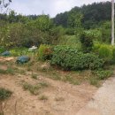 녹지농장 이미지