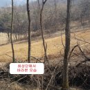 금성면 농공단지 이미지