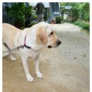 바둑아 놀자 이미지