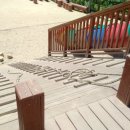 둘리쌍문공원 유아숲체험장 이미지