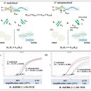 ㈜보령에스
