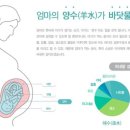 솔트리