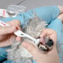 천호동물병원 이미지