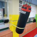 다송MTA태권도 이미지