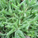 윤성농장 이미지