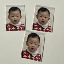 송월타월의류 - 화성시 효행로 964 | 스티코니 네임 스티커 • 블랑키즐 칫솔 치약 양치컵 • 송월타월 고리 수건 • 올포홈 낮잠이불 가방