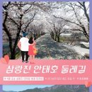미리벌민속박물관 | 4월 경남축제 소식, 벚꽃이랑 진달래랑