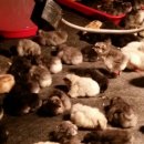 구례청계 이미지