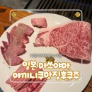 (주)라임오렌지닷컴 | 마쓰야마 맛집] 야키니쿠 후쿠주 : 닷지석 감성과 비빔밥 필수 코스(내돈내산)