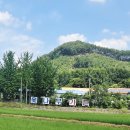 옻나무가든 이미지