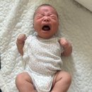 출산 회고
