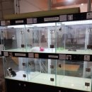 우프우프 이미지