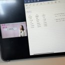 (주)여행스쿨 | [시원스쿨 스페인어 후기] Que estudiaste?