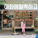 고길천로 | 이화에 월백하고 카페 뜻 내부 메뉴추천 평창 여름 가볼만한곳