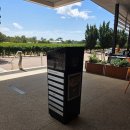 스완 | 스완밸리 와인 투어 솔직 후기🍷 Mandoon &amp; Garben &amp; Nikola 비교