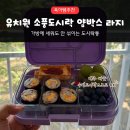 거창도시락 | 유치원 소풍도시락 얌박스 후기 | 7세 도시락통 실사용 기록