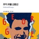 미르라이팅 이미지