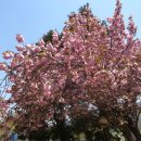 장원초교 이미지