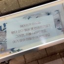 오렌즈교보강남 | 2024년 12월 ㅣ 자카르타 일상에서 잠시 서울 일상 (2) 겨울의 끝자락들을 모아모아 (n번째 크리스마스...