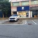 몽이네 애견샵 이미지