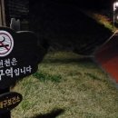 온천천시민공원 영산홍 이미지