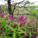 인제공원 이미지