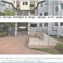 향남 살구꽃공원